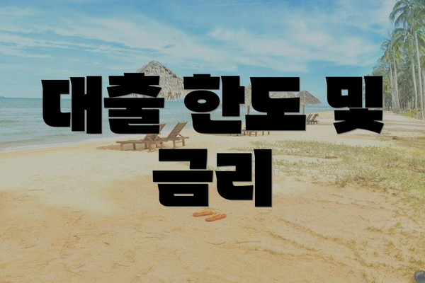 대출 한도 및 금리