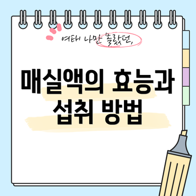 매실액의 효능과 섭취 방법