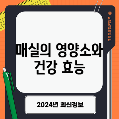 매실의 영양소와 건강 효능