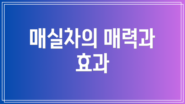 매실차의 매력과 효과