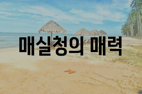 매실청의 매력