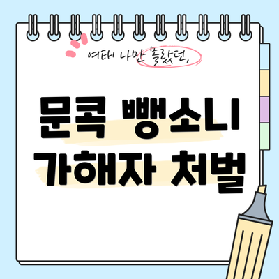 문콕 뺑소니 가해자 처벌