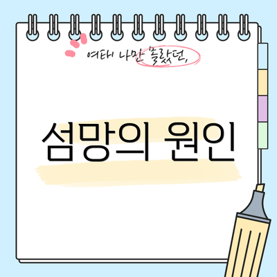 섬망의 원인