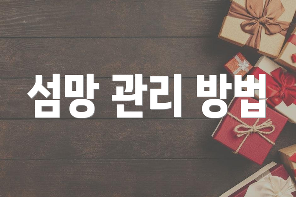 섬망 관리 방법