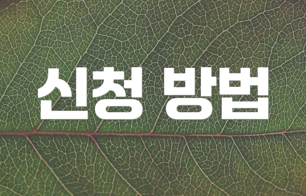 신청 방법
