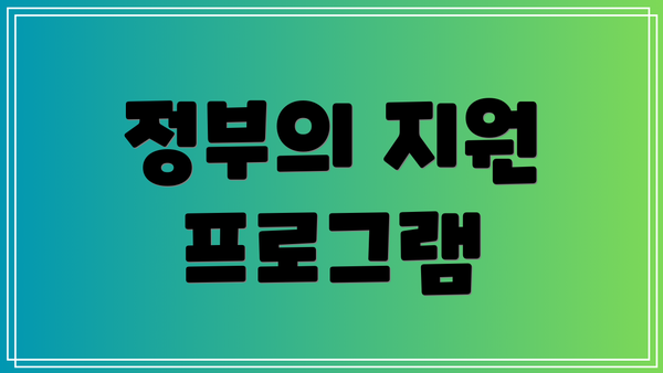 정부의 지원 프로그램