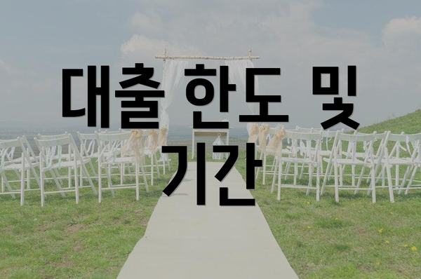 대출 한도 및 기간