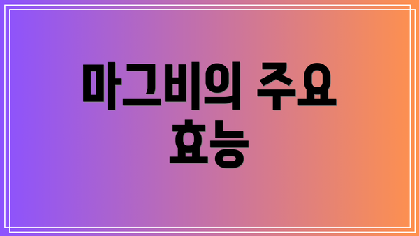마그비의 주요 효능