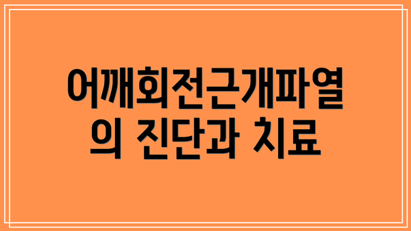 어깨회전근개파열의 진단과 치료