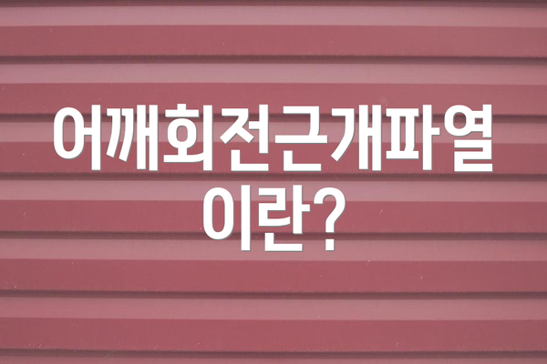 어깨회전근개파열이란?