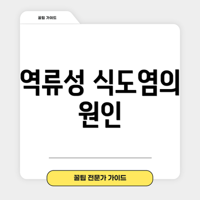 역류성 식도염의 원인
