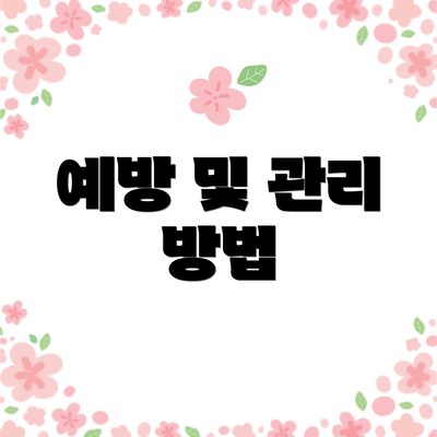 예방 및 관리 방법