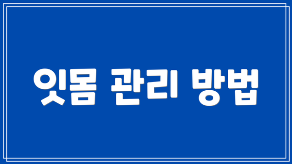 잇몸 관리 방법