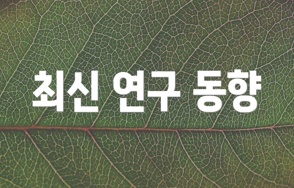 최신 연구 동향
