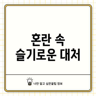 혼란 속 슬기로운 대처