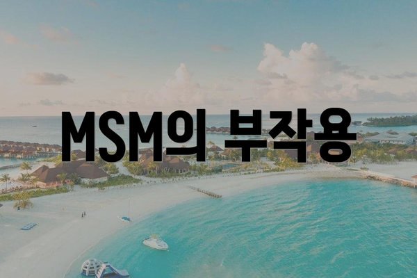 MSM의 부작용