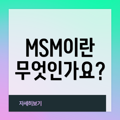 MSM이란 무엇인가요?