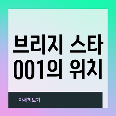 브리지 스타 001의 위치