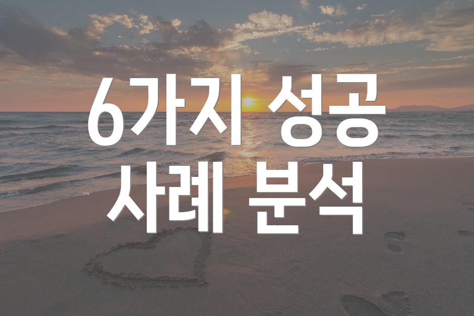 6가지 성공 사례 분석