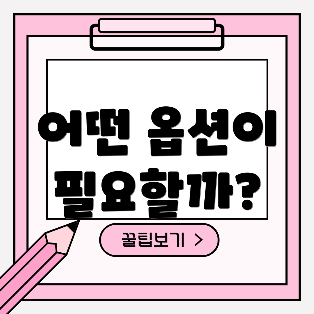 어떤 옵션이 필요할까?