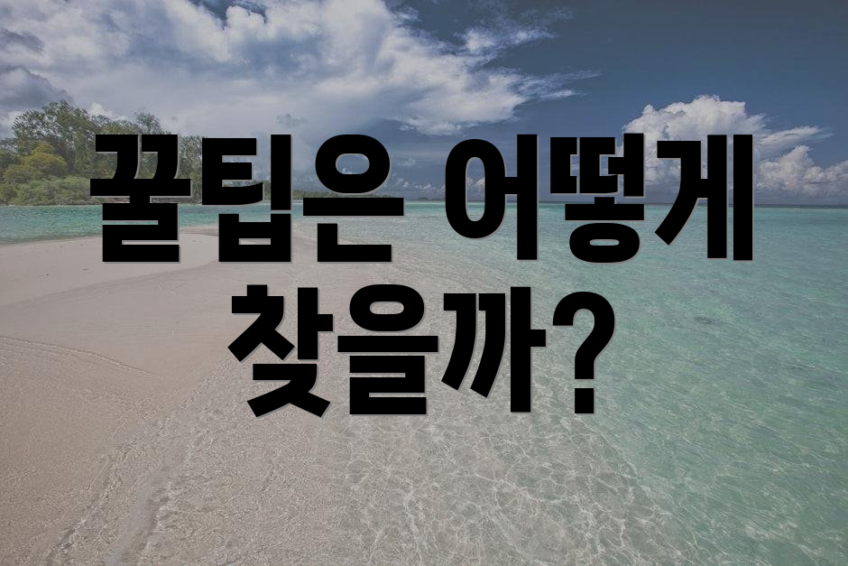 꿀팁은 어떻게 찾을까?