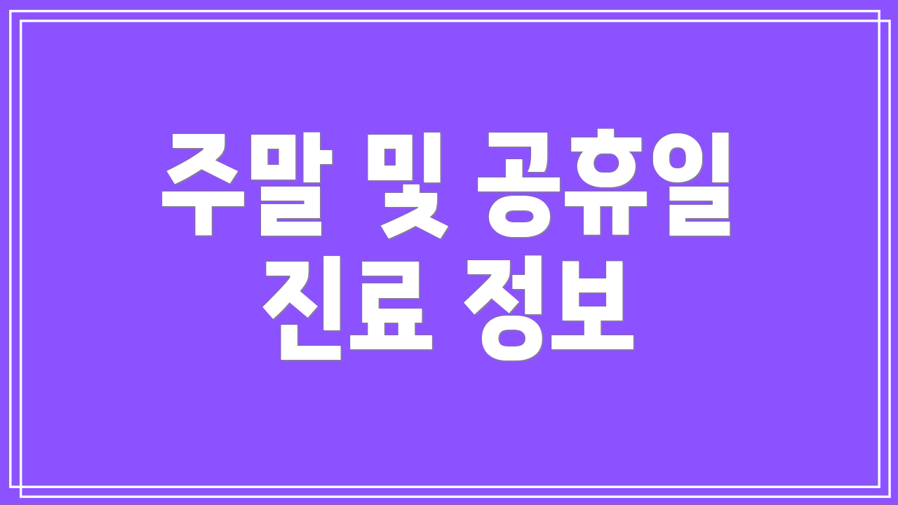 주말 및 공휴일 진료 정보