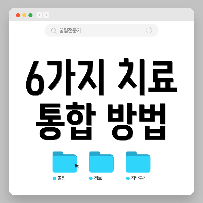 6가지 치료 통합 방법