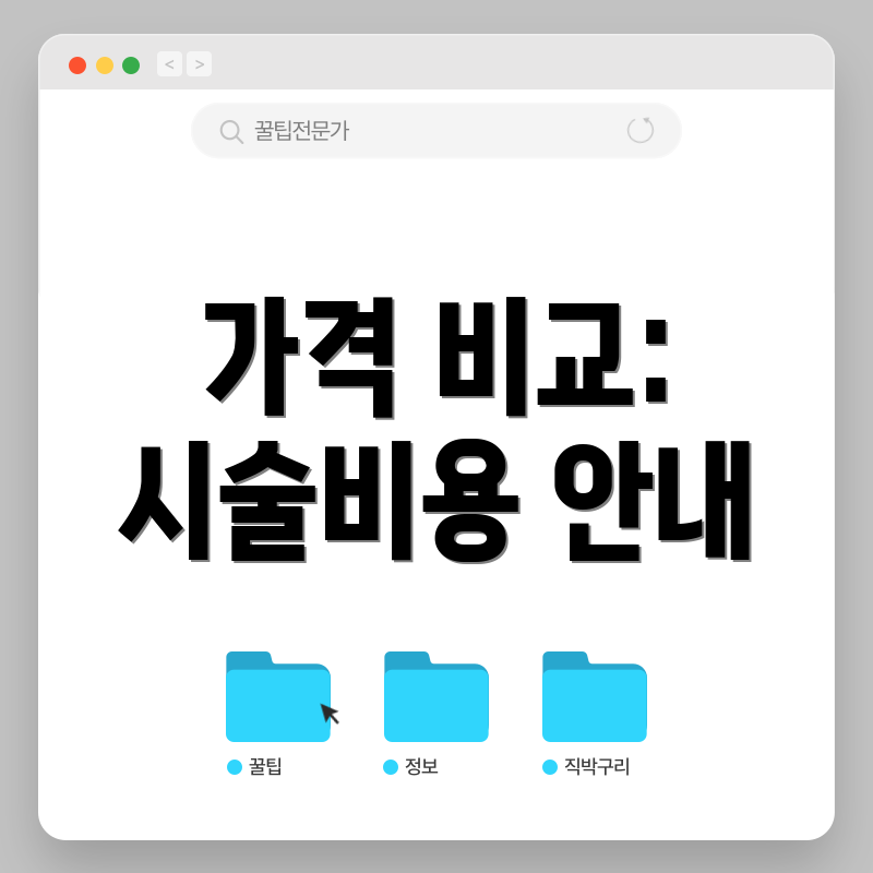 가격 비교: 시술비용 안내