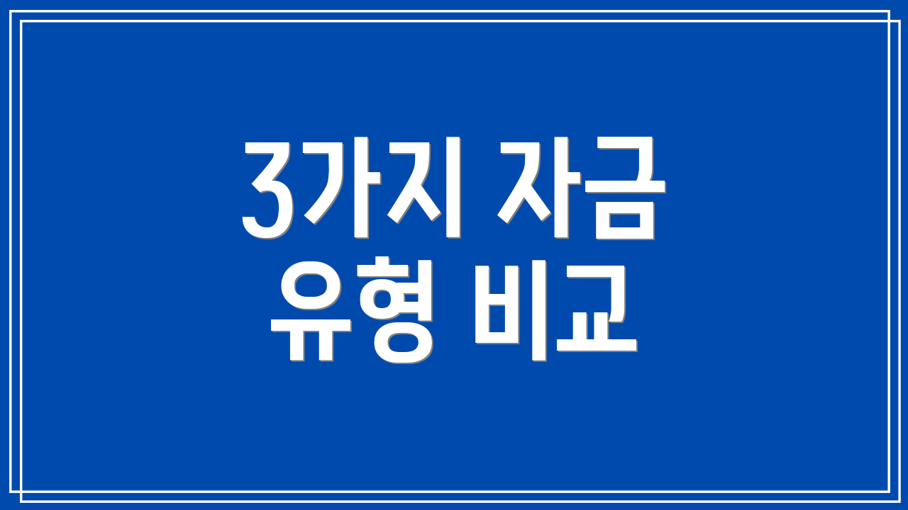3가지 자금 유형 비교