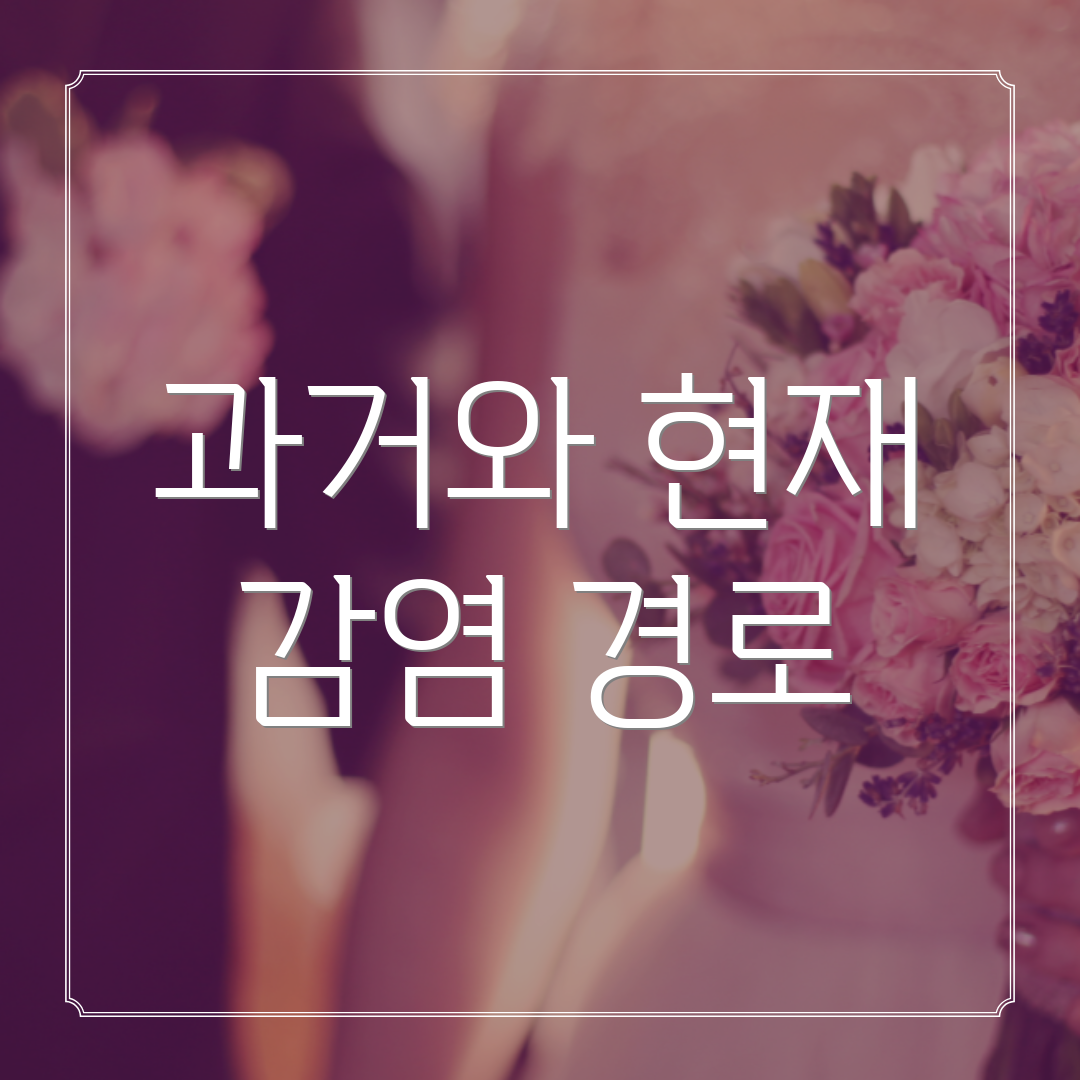 과거와 현재 감염 경로