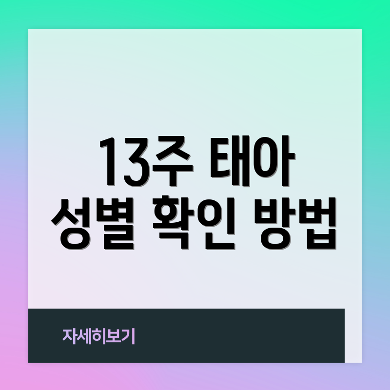 13주 태아 성별 확인 방법