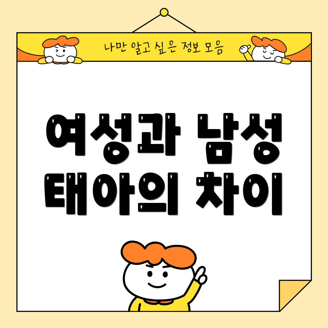 여성과 남성 태아의 차이