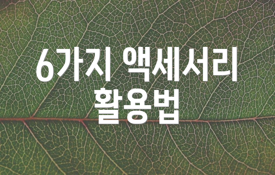 6가지 액세서리 활용법