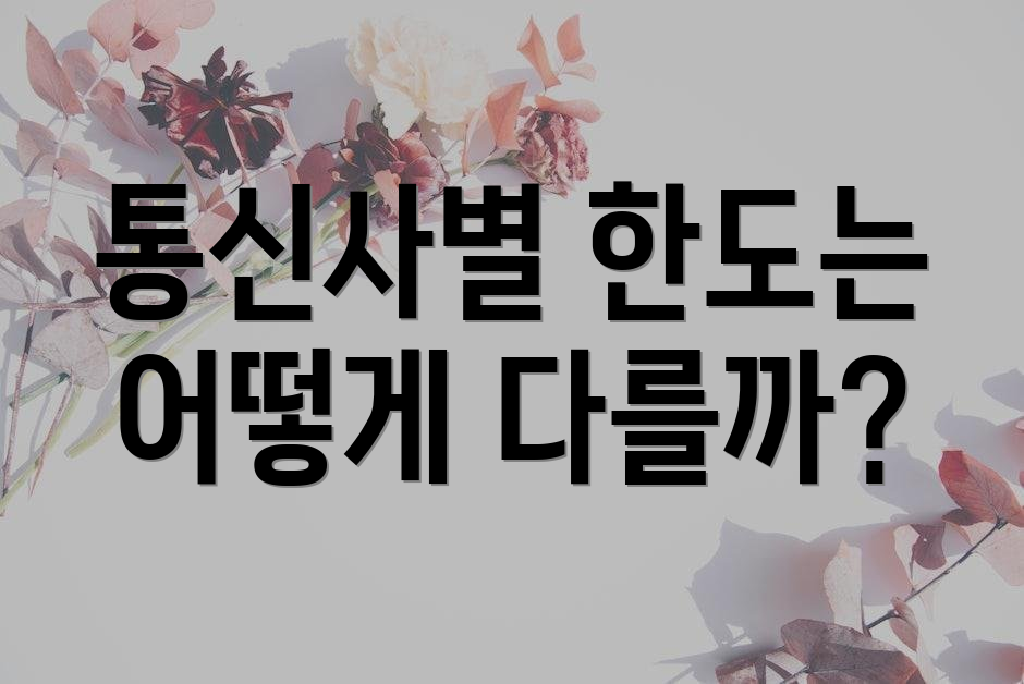 통신사별 한도는 어떻게 다를까?